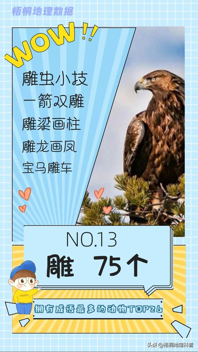 关于猫的词语有多少个，关于猫的词语有多少个词语（盘点哪种动物拥有的成语最多）