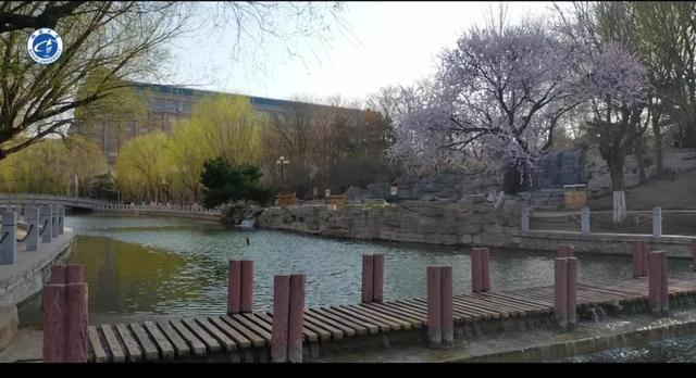 渤海大学是211吗，渤海大学是什么大学（辽宁省普通高等院校）