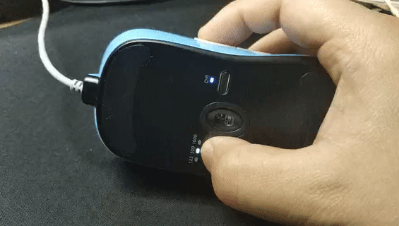 divina跳蚤防治，吡虫啉灭跳蚤（职业FPS选手标配）