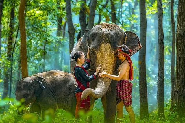 西双版纳的景点,西双版纳景点排行榜(去云南西双版纳旅游必去的十大景观) 西双版纳的景点,西双版纳景点排行榜(去云南西双版纳旅游必去的十大景观)