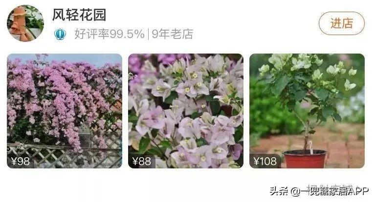 淘宝网花店(淘宝商城花卉市场)