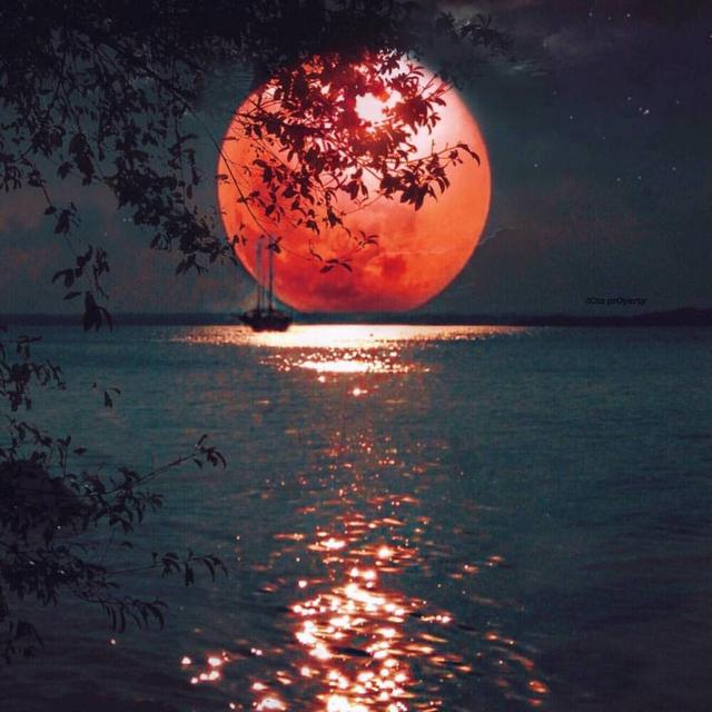 关于星星月亮的背景图，关于星星月亮的背景图片（帮你关掉月亮——唯美浪漫月亮主题背景图句子集分享）