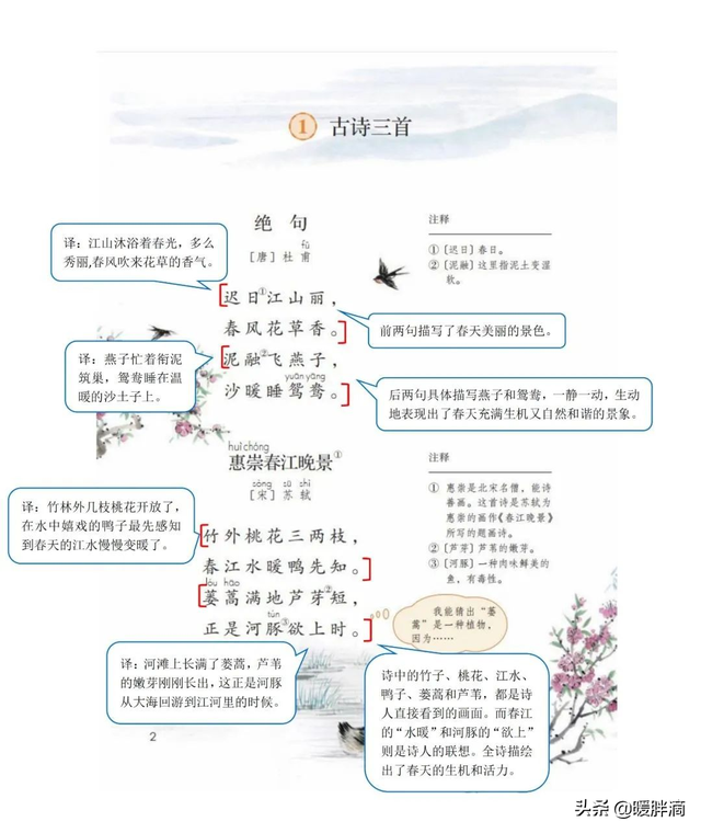 鸯龟（鸯龟造句），部编版语文三年级下册（鸯龟组词造句）