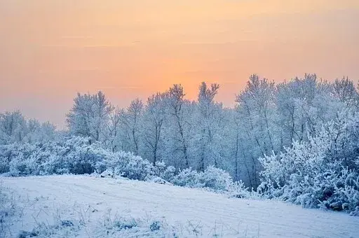 在古代可以用什么词代替雪，在古代对雪的称谓还有哪些（看看古人对雪的24种雅称）