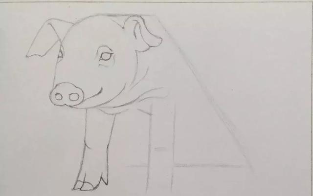 猪头简笔画怎么画，让我们一起学一下小猪简笔画吧