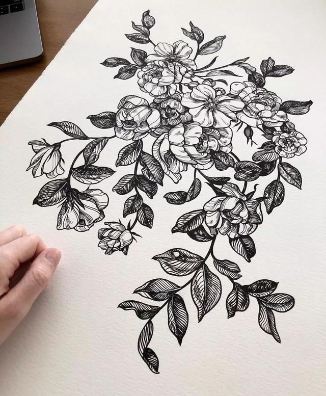 怎样用中性笔画玫瑰花好看，中性笔画花卉图片（一篇用针管笔画的植物花卉）