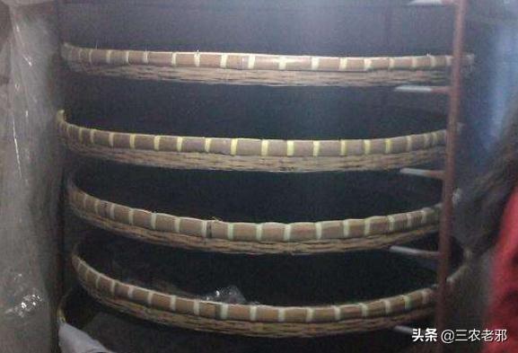 养蚕的方法和步骤，养蚕的方法（养蚕的新技术及方法）