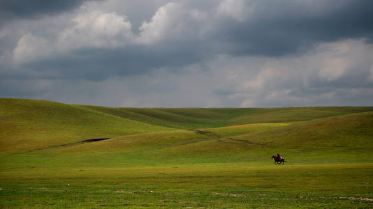 内蒙古最大的草原风景区在哪,内蒙古最大的草原风景区在哪里(面积26万