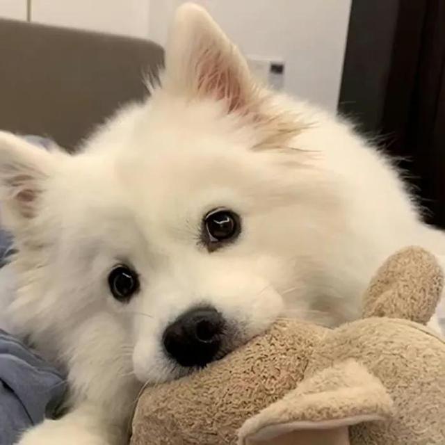 可爱的笑容，微信头像，可爱的笑容（单身狗子头像自拍）