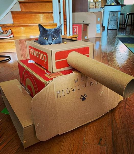 如何用最简单的材料给猫咪做玩具，如何用最简单的材料给猫咪做玩具熊（网友给家里的猫打造纸箱坦克）