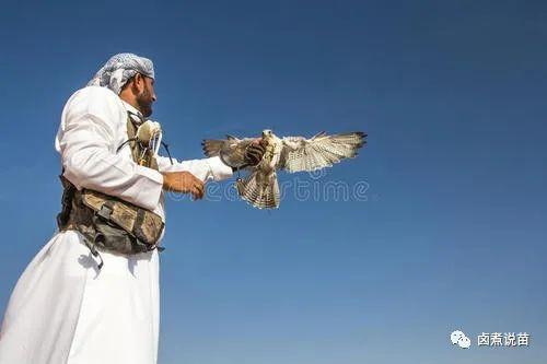 belgium是哪个国家，belgium是哪个国家（最新全球各个国家和地区的狂犬病分级）
