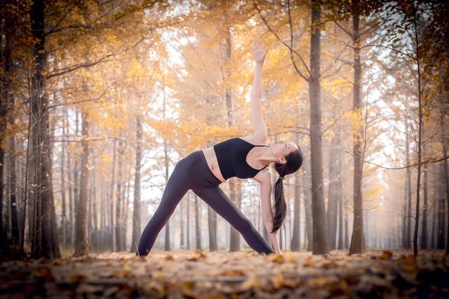 郯城银杏林在哪，郯城银杏林在哪个村（遇见2020年最后一抹秋色）