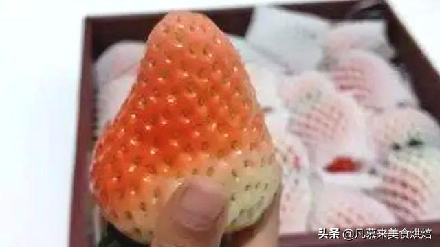 什么品种草莓好吃，草莓品种最好的是哪种（24种常见草莓品种）