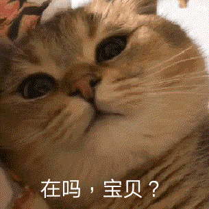 表情包  可爱小动物，微信头像，表情包  可爱小动物（可爱小动物表情包）