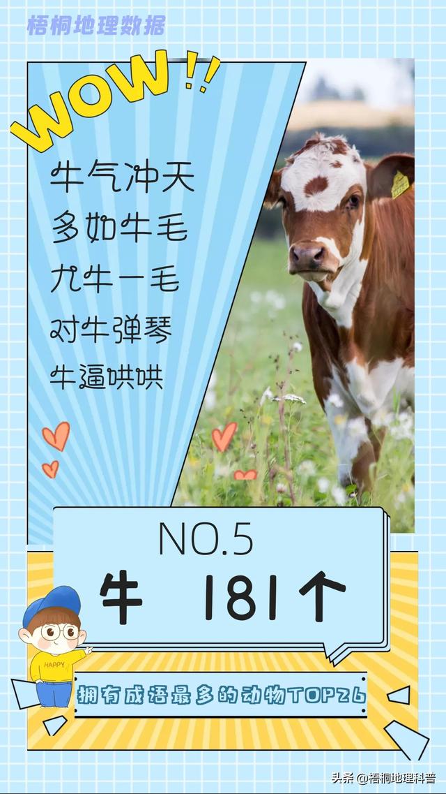 关于猫的词语有多少个，关于猫的词语有多少个词语（盘点哪种动物拥有的成语最多）