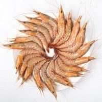 虾有多少品种，淡水虾有哪些品种（虾类双11购买攻略富山虾）