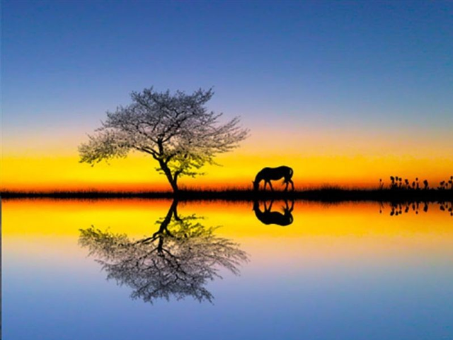 浩浩荡荡的近义词，浩浩荡荡和浩浩汤汤的区别（语文知识：描写水的词）