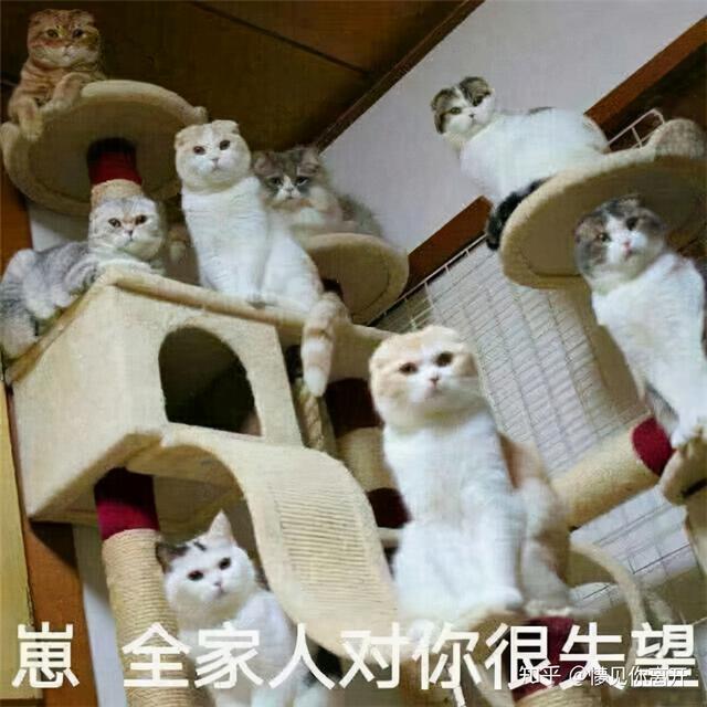 距离放假还有一天表情包，表情包~还有1天放假