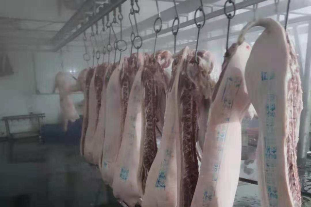 神农集团更名，肉价暴跌生猪养殖成“雷区”