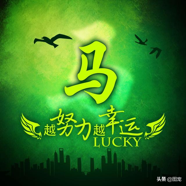 多幸运在最美的年纪遇见你，多幸运，在最美的年纪遇见你（一款以绿色为背景的微信头像悄悄送给你）