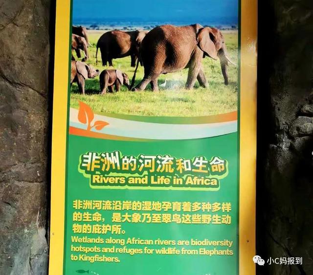 珠海长隆游玩攻略，珠海长隆游玩攻略图（带娃去珠海长隆该怎么玩）