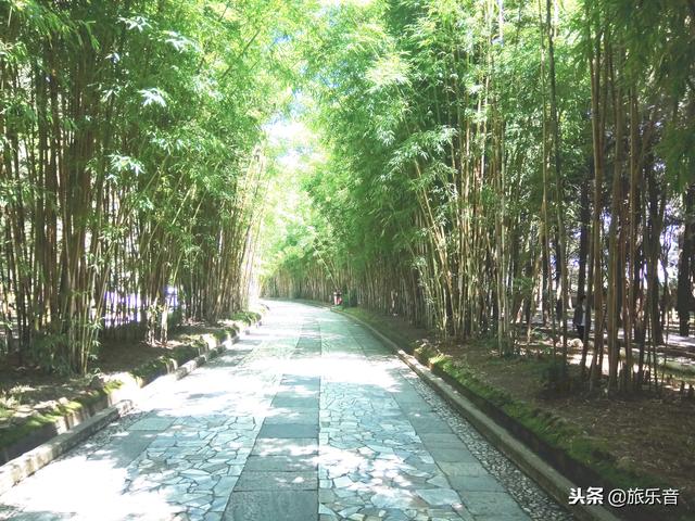 蝴蝶泉在哪里，蝴蝶泉在哪里打一个数字（大理蝴蝶泉没有真蝴蝶）