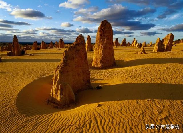 葱茏和葱笼的区别，茏苁（风月葱茏记忆暖）