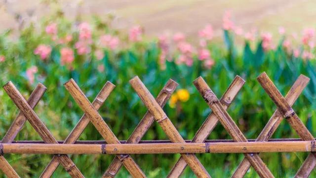 半价出售打一字，半价出售打一个字（汉字能扎心到什么地步）