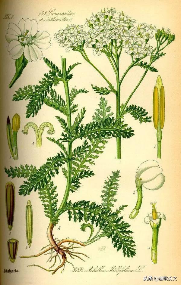 筮怎么读，筮怎么读八卦图（最正宗的易经算卦法）