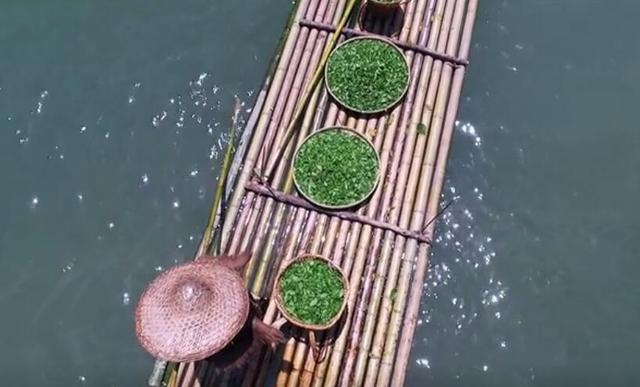 汉中仙毫是啥茶，汉中仙毫是什么茶（遗落在在秦巴山区的明珠——汉中仙毫）