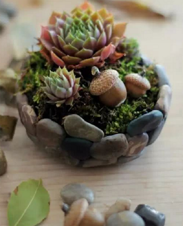 使用强力胶水的小妙招，去海边捡的石头别着急扔