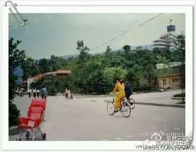 冷色系女头/快乐是个奢侈品，微信头像，冷色系女头/快乐是个奢侈品（雅安：一城梧桐伴流年）