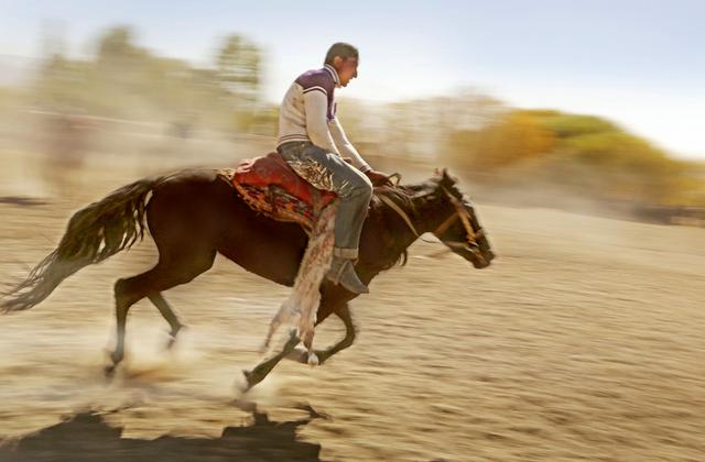 用马字组词有什么，马字组词还有什么（拍马“留序”摄影浅谈）