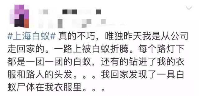 白蚁是什么，白蚁是什么样的图片（钻头发、钻衣服、拆你的家…别私自处理）