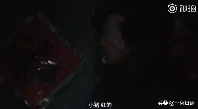 peppa怎么读，peppa（“啥是佩奇”刷爆盆友圈）