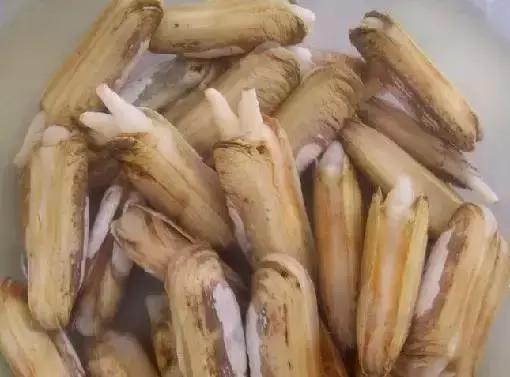 请问清炸小扒皮鱼的做法，炸小剥皮鱼的做法大全（今后再也不怕不认识海鲜了）