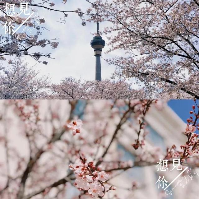 南开大学滨海学院是几本，南开大学滨海学院排名多少是几本（<一>南开大学滨海学院）