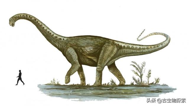 世界上有什么恐龙，世界上有几种恐龙（世界最大恐龙排行榜）