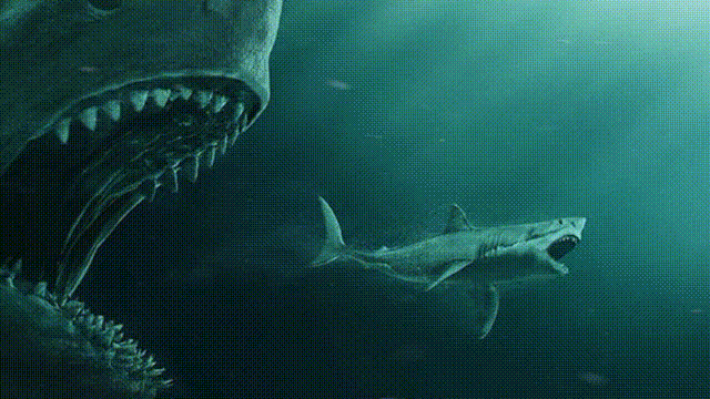 十大怪异鲨鱼，10000米长的蜈蚣（背后隐藏着一个人类起源的故事）