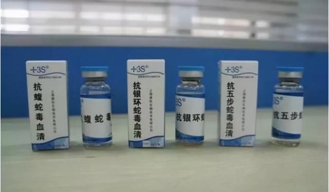 中国十大毒蛇 圆斑蝰蛇，中国十大毒蛇（农村的“土呆子”却是“伤人之王”）