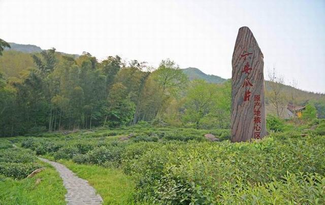 中国十大茶叶排行榜 分别是哪些品牌，中国十大茶叶排行榜（中国十大茶叶应该如何排名）
