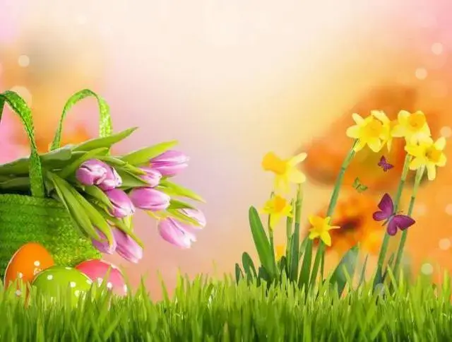 如此甚好是什么意思，生活如此甚好是什么意思（浅浅欢喜，淡淡相交，如此甚好）