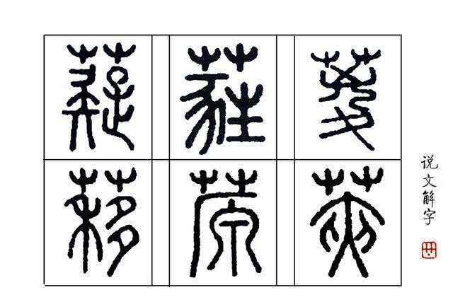 蕤意思是什么，《唐诗三百首》第一首《感遇》
