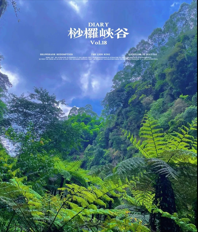 成都市区必去一日游，成都市区一日游最佳攻略（推荐9个成都周边1日游好去处）