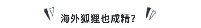 狐狸有什么特点，狐狸有什么特点,你想对它说狮子和狐狸（狐狸精为啥不能是男的）