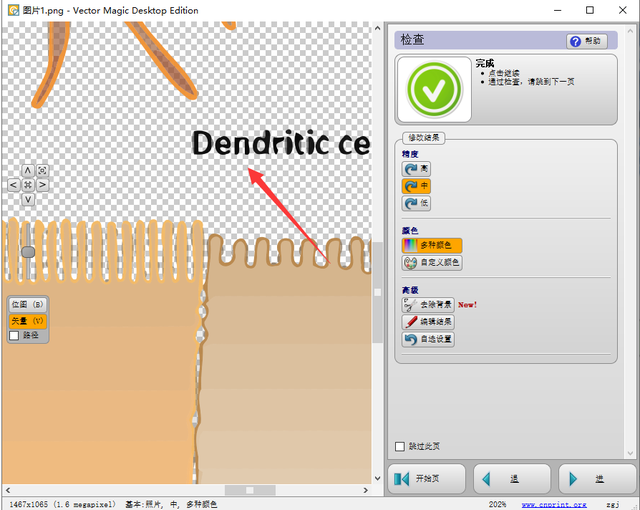 矢量图是什么意思，矢量图是什么 AI（位图转换为矢量图——基于VectorMagic的操作）