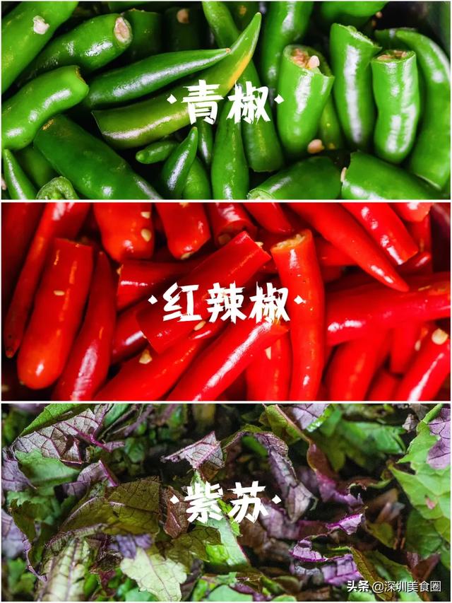 扛把子念kang还是gang呢,扛把子怎么读gang(蛙小侠,内讧了) 扛把子念kang还是gang呢,扛把子怎么读gang(蛙小侠,内讧了)