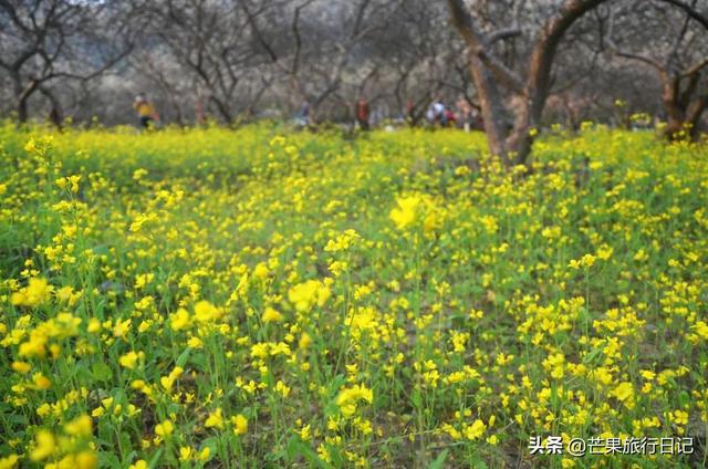 新丰县属于哪个市，广东省龙门县属于哪个市（经济落后房价却高）