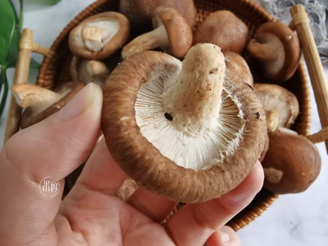 香菇怎么洗才干净，新鲜香菇怎么洗才干净（脏东西小虫子乖乖溜走）