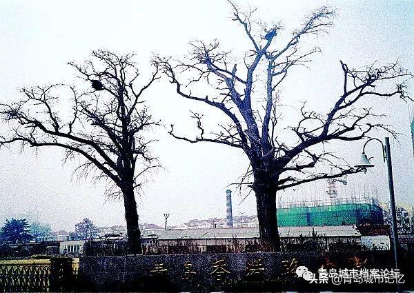 余姓和哪个姓是世仇，余姓是不是贵族姓（浮山所掌故）